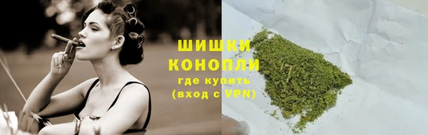 мдпв Бронницы