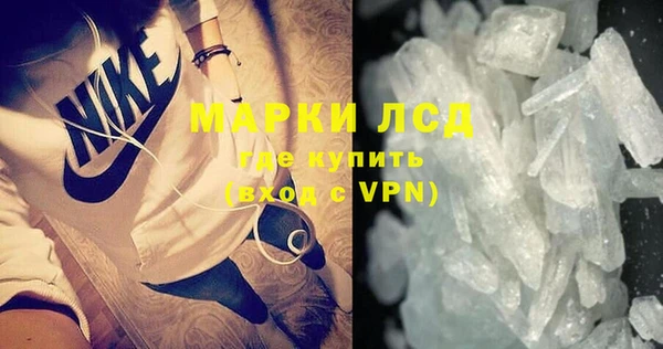 спайс Бородино