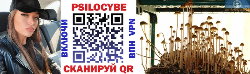 Галлюциногенные грибы прущие грибы  Далматово 